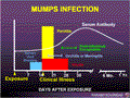 Mumps Infection events graph